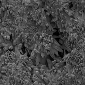 Calcium Carbonate Crystals