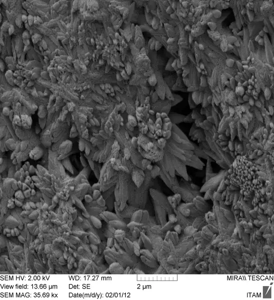 Calcium Carbonate Crystals