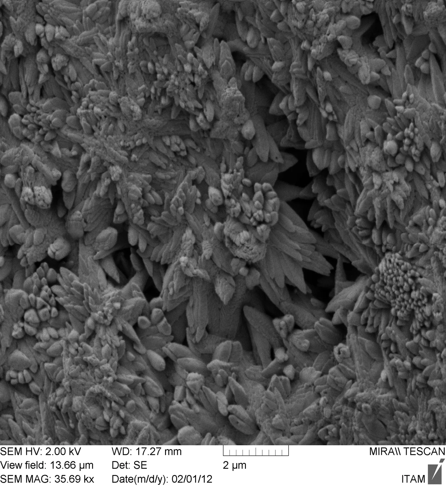 Calcium Carbonate Crystals