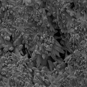 Calcium Carbonate Crystals