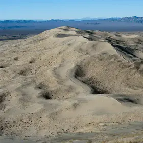 Kelso Dunefield