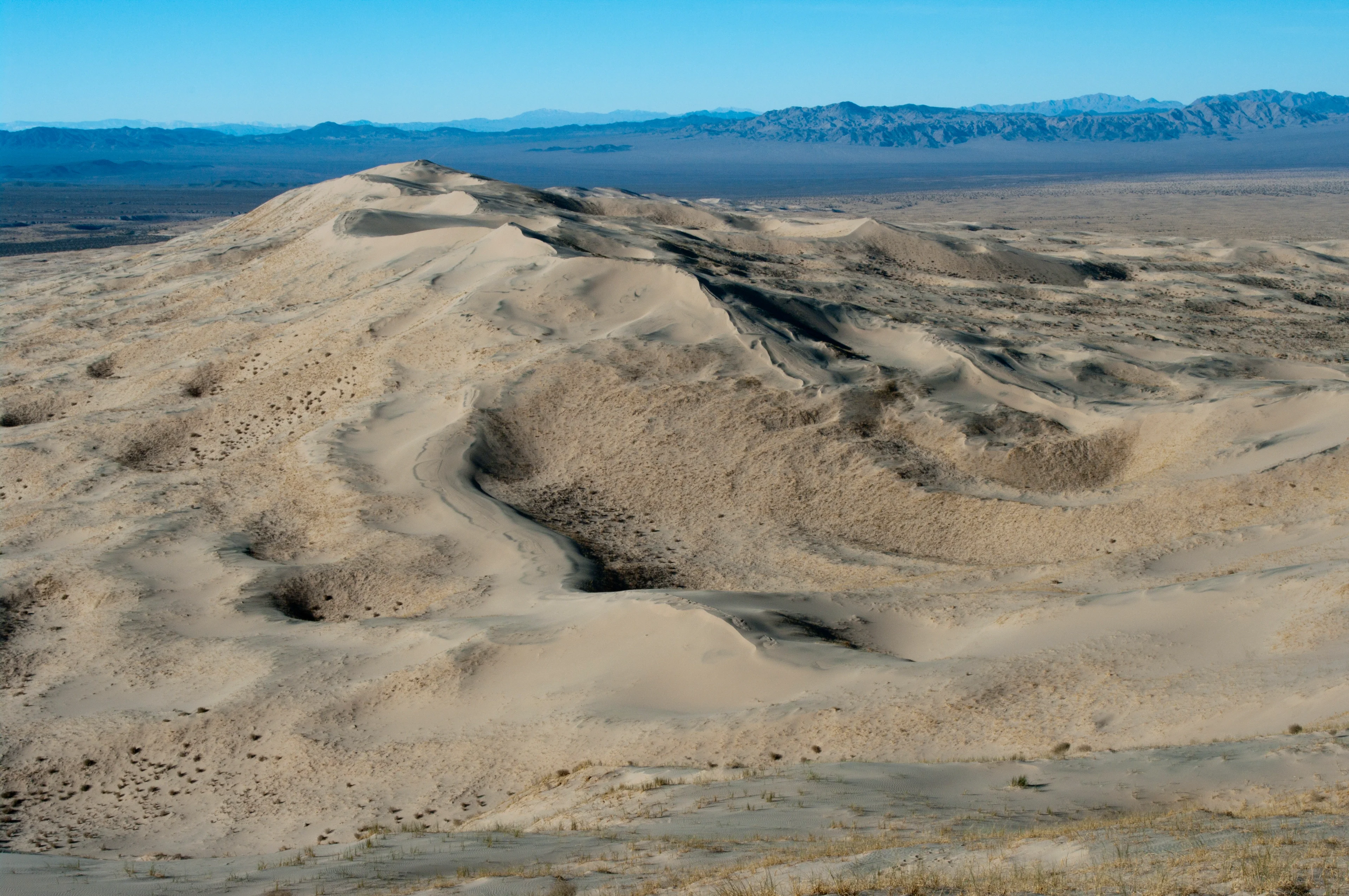 Kelso Dunefield