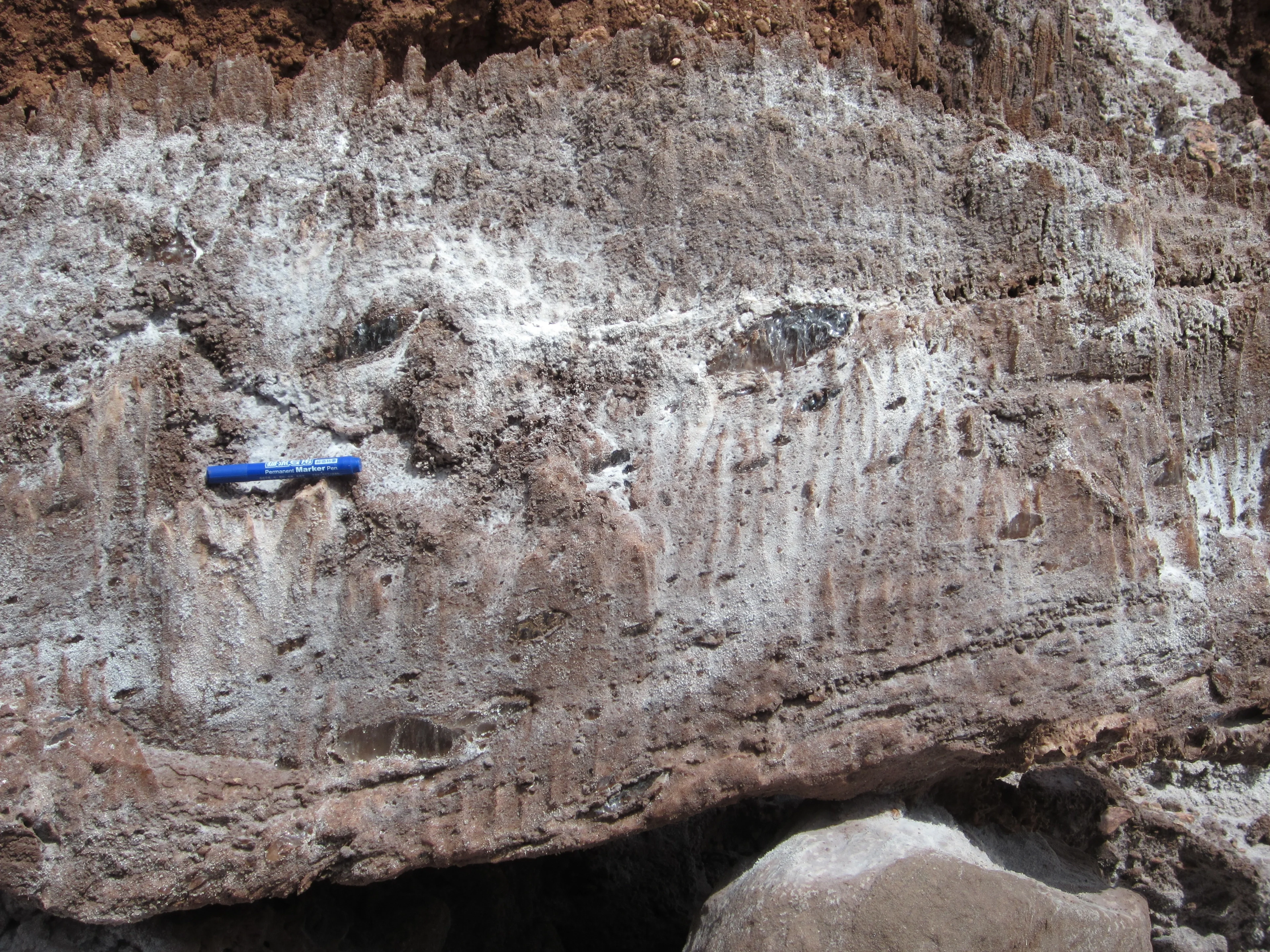 Rock With Salt Lenses