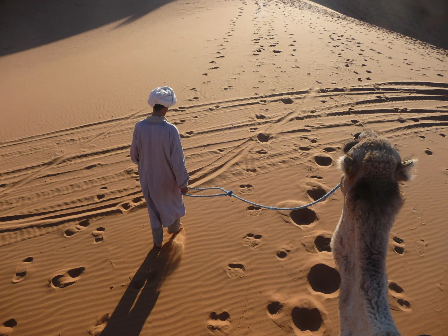 New traces