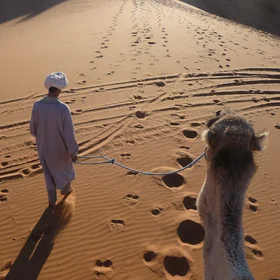 New traces