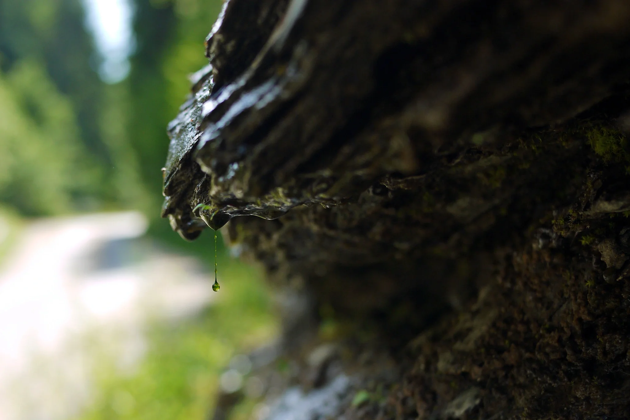 Outdrop