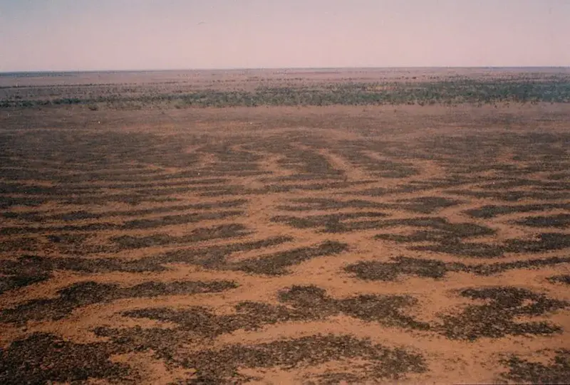 Reticulate channels on Cooper Creek, central Australia