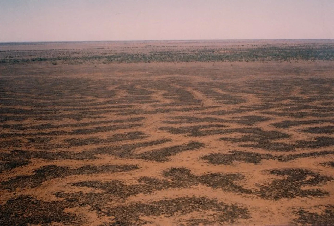 Reticulate channels on Cooper Creek, central Australia