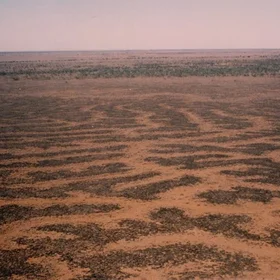 Reticulate channels on Cooper Creek, central Australia