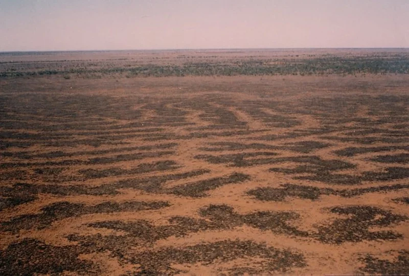 Reticulate channels on Cooper Creek, central Australia