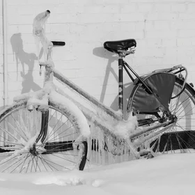 Frozen Bicycle