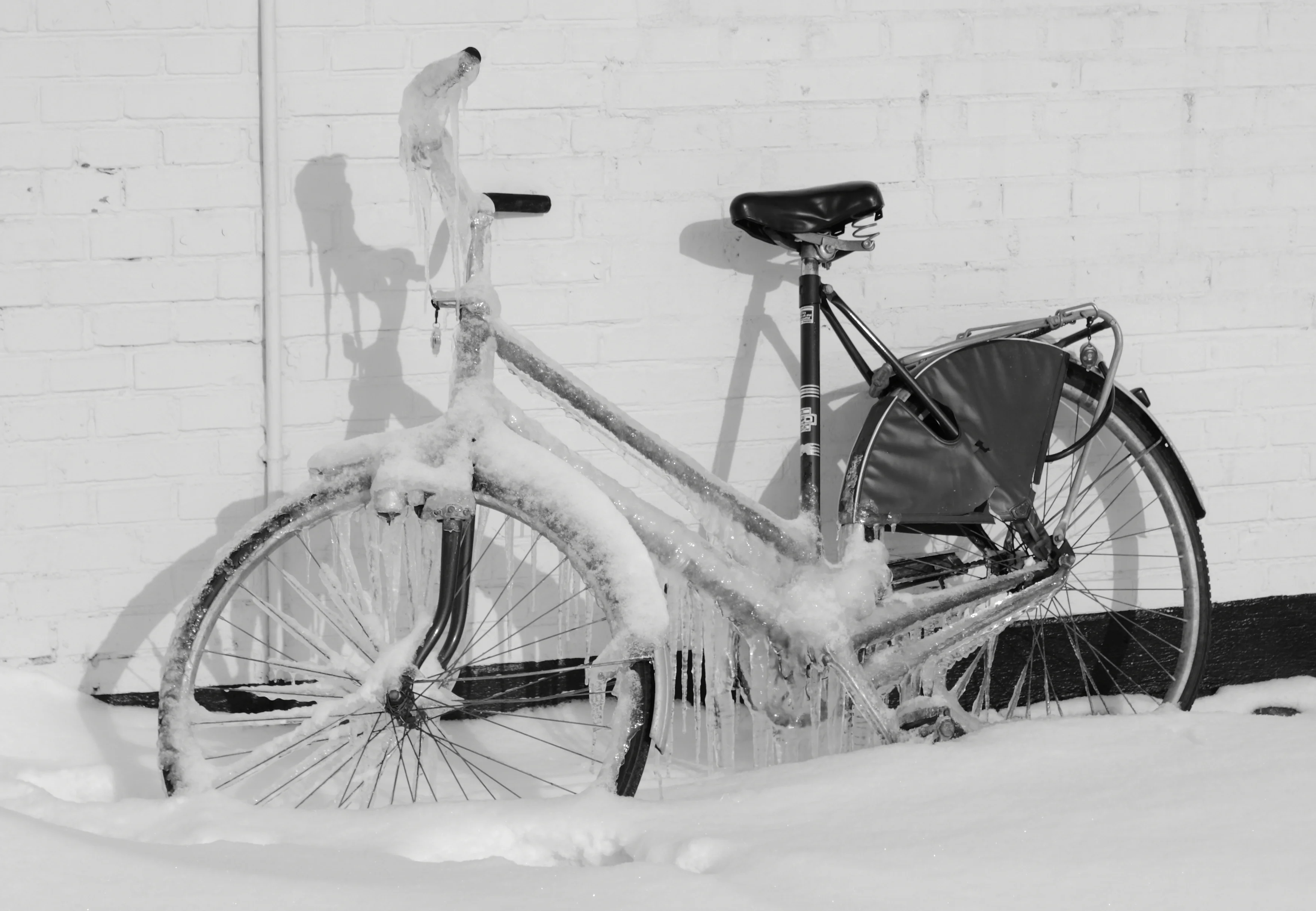 Frozen Bicycle
