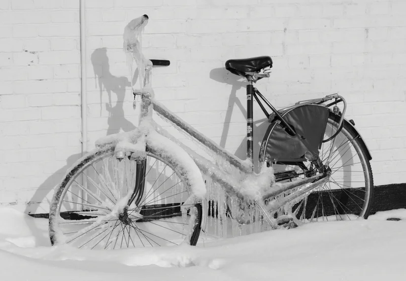 Frozen Bicycle
