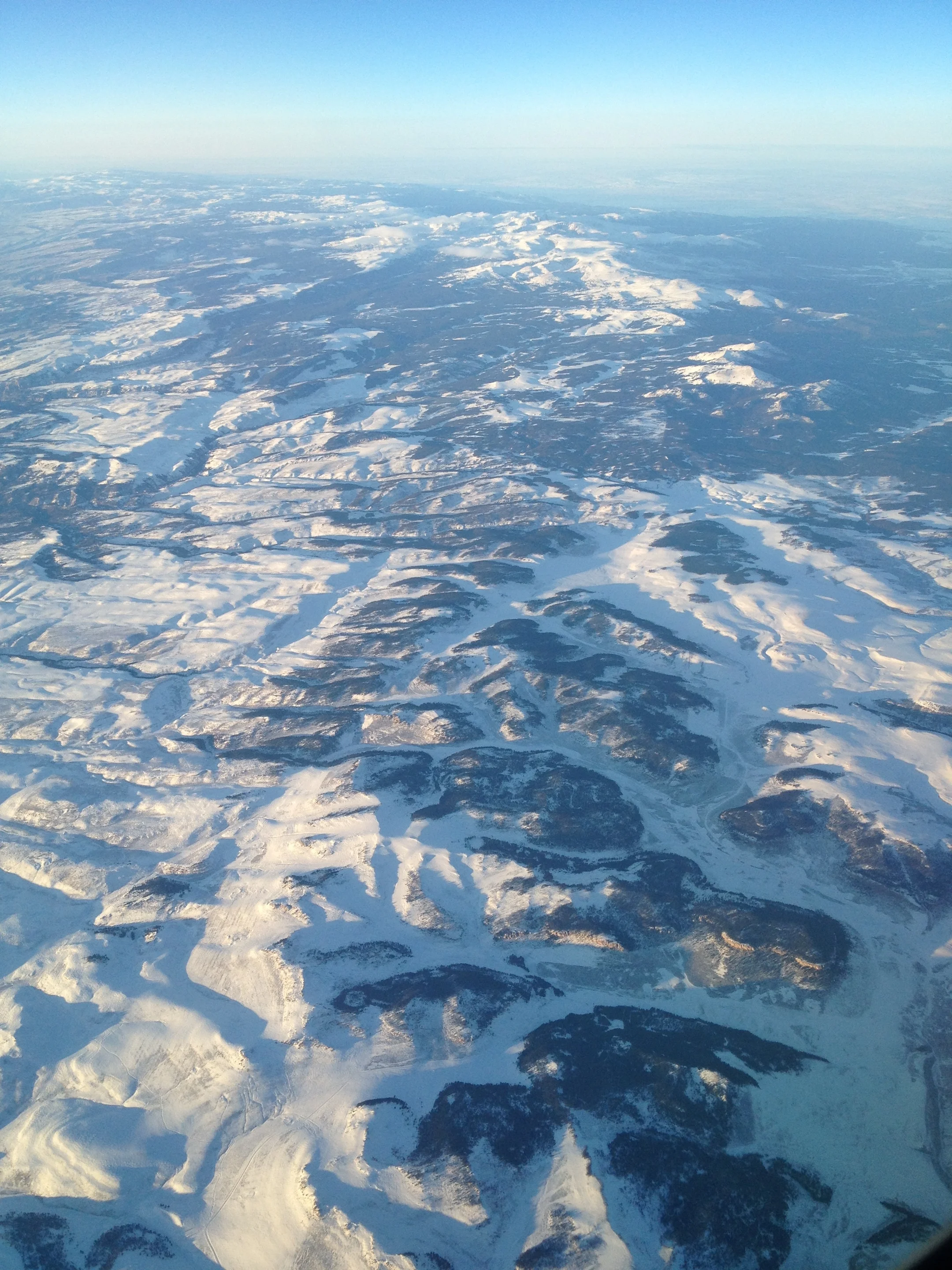 Jointed Colorado Rockies