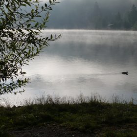 A black forest lake at 7 am