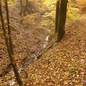 The sun setting over a small forested valley