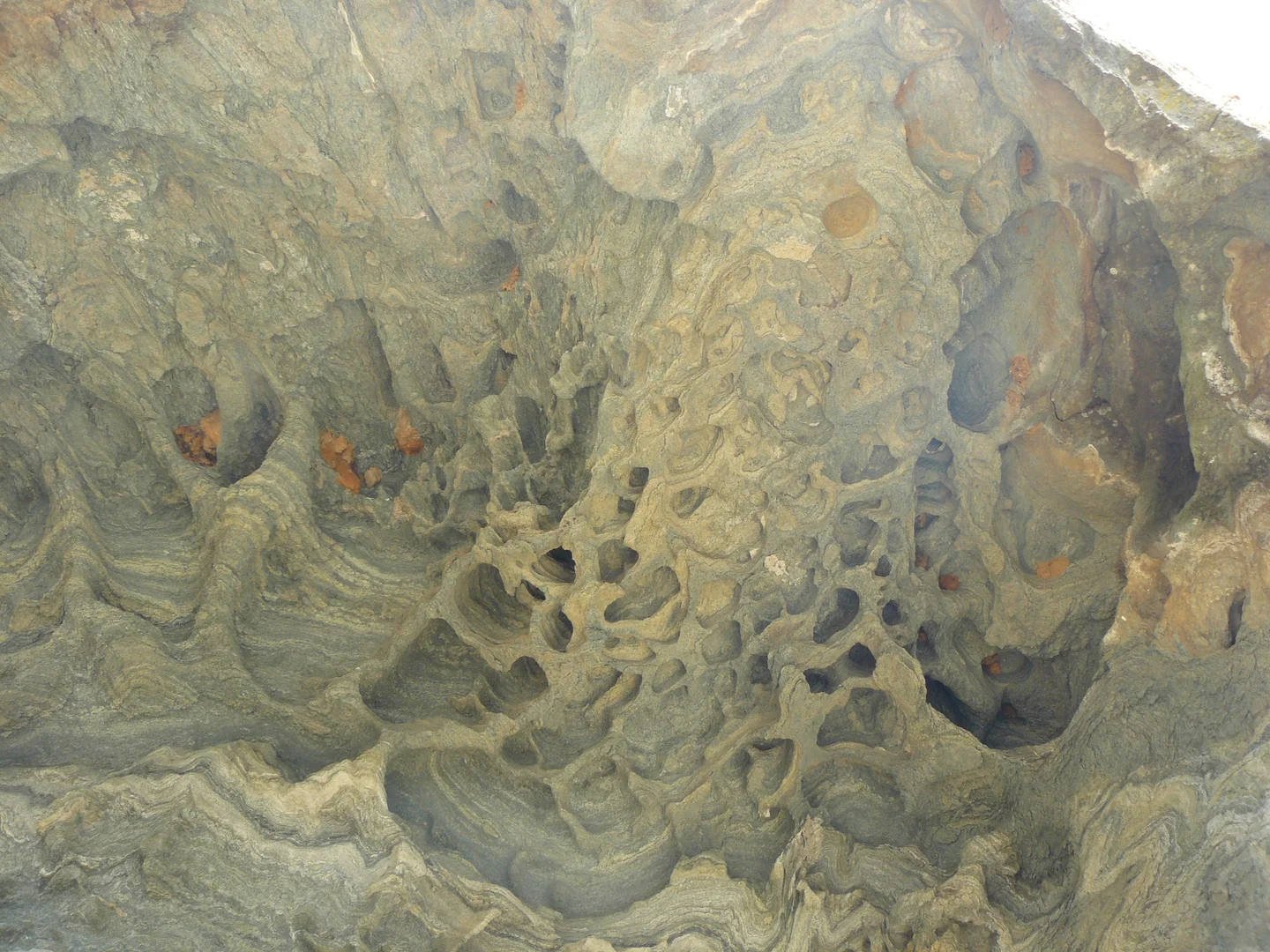 Tafoni and alveoles