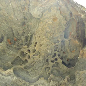 Tafoni and alveoles