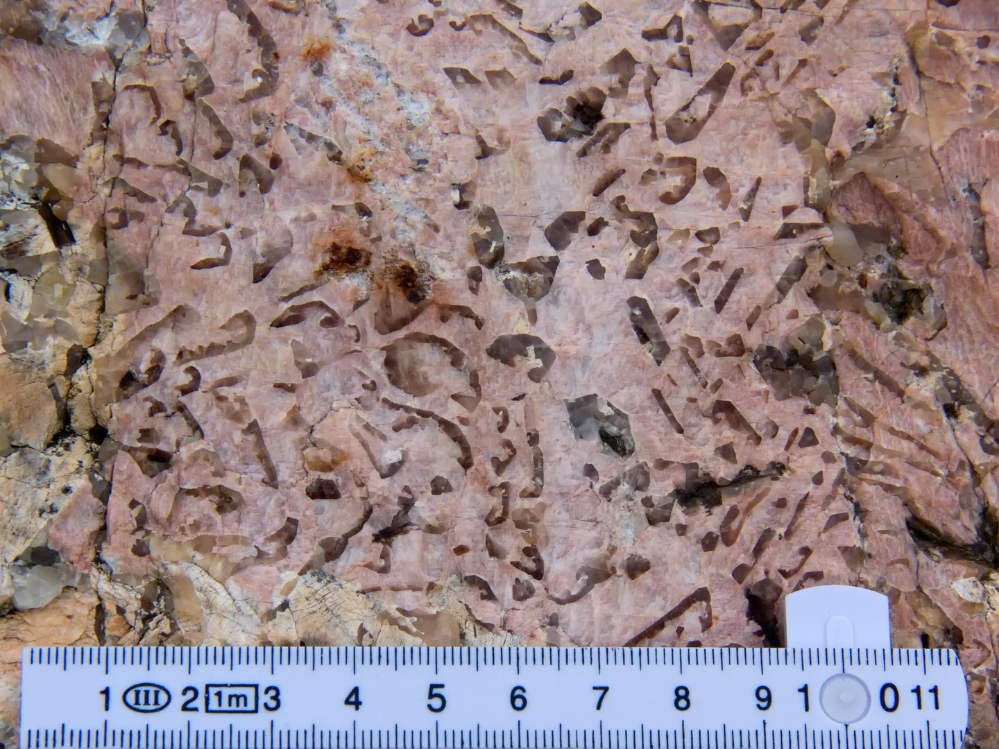 Runic pegmatite boulder