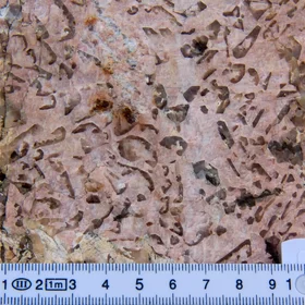 Runic pegmatite boulder
