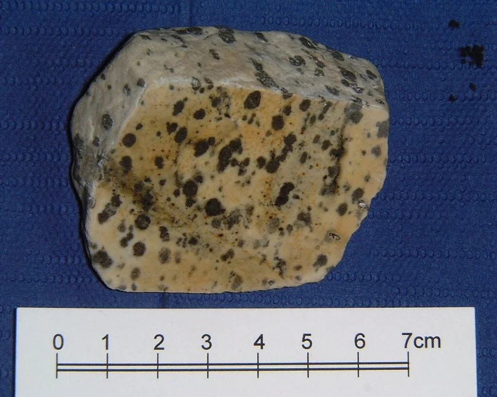 Fleckengneis