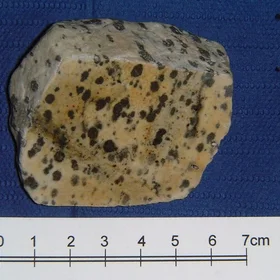 Fleckengneis