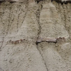 Dinosaur bone in a hoodoo