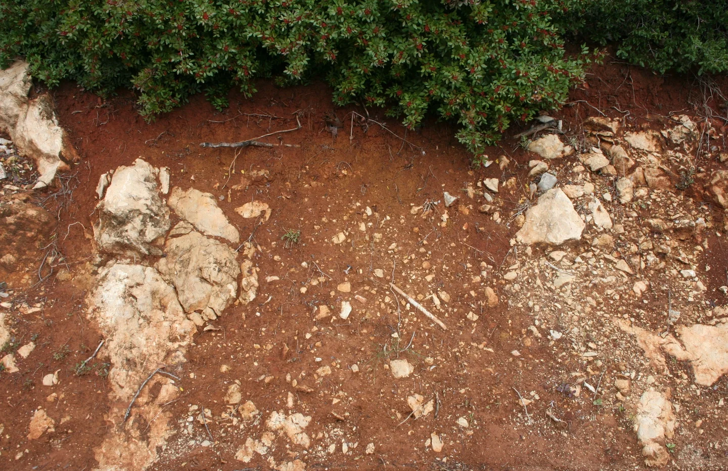 Terra rossa near São Brás de Alportel (southern Portugal)