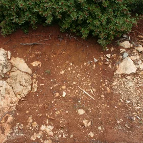 Terra rossa near São Brás de Alportel (southern Portugal)