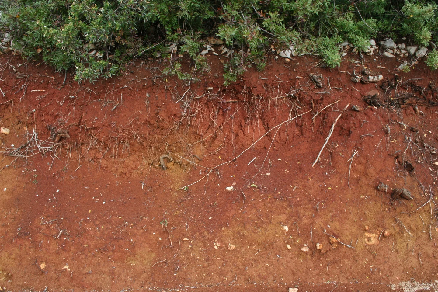 Terra rossa near São Brás de Alportel (southern Portugal)