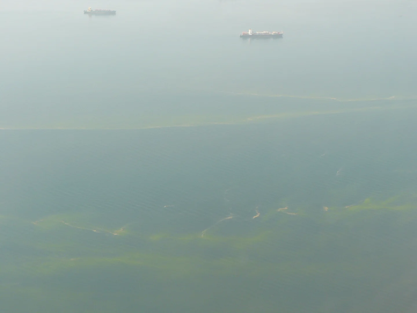 Algal bloom in Bosporus
