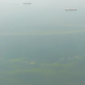 Algal bloom in Bosporus