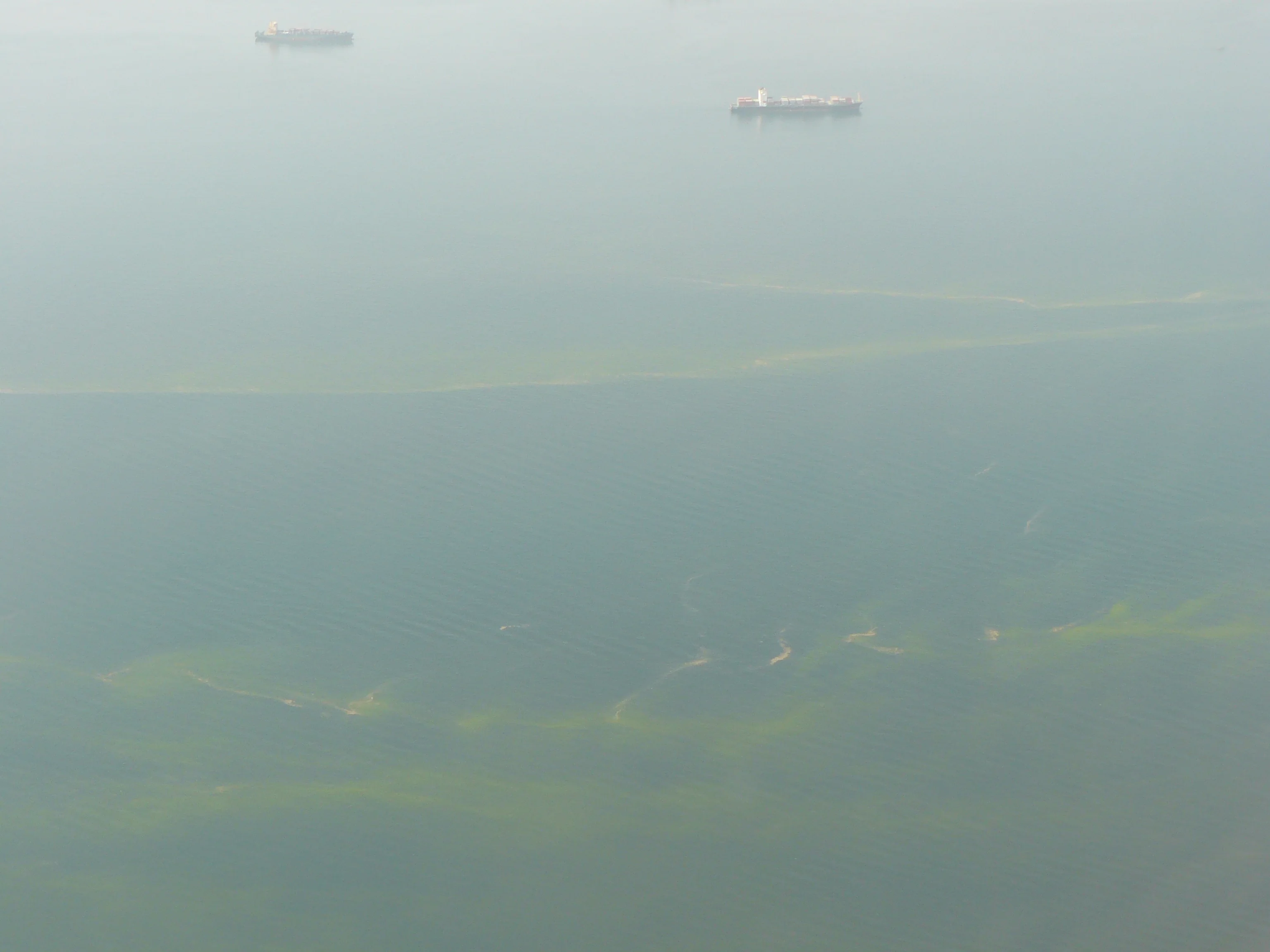 Algal bloom in Bosporus
