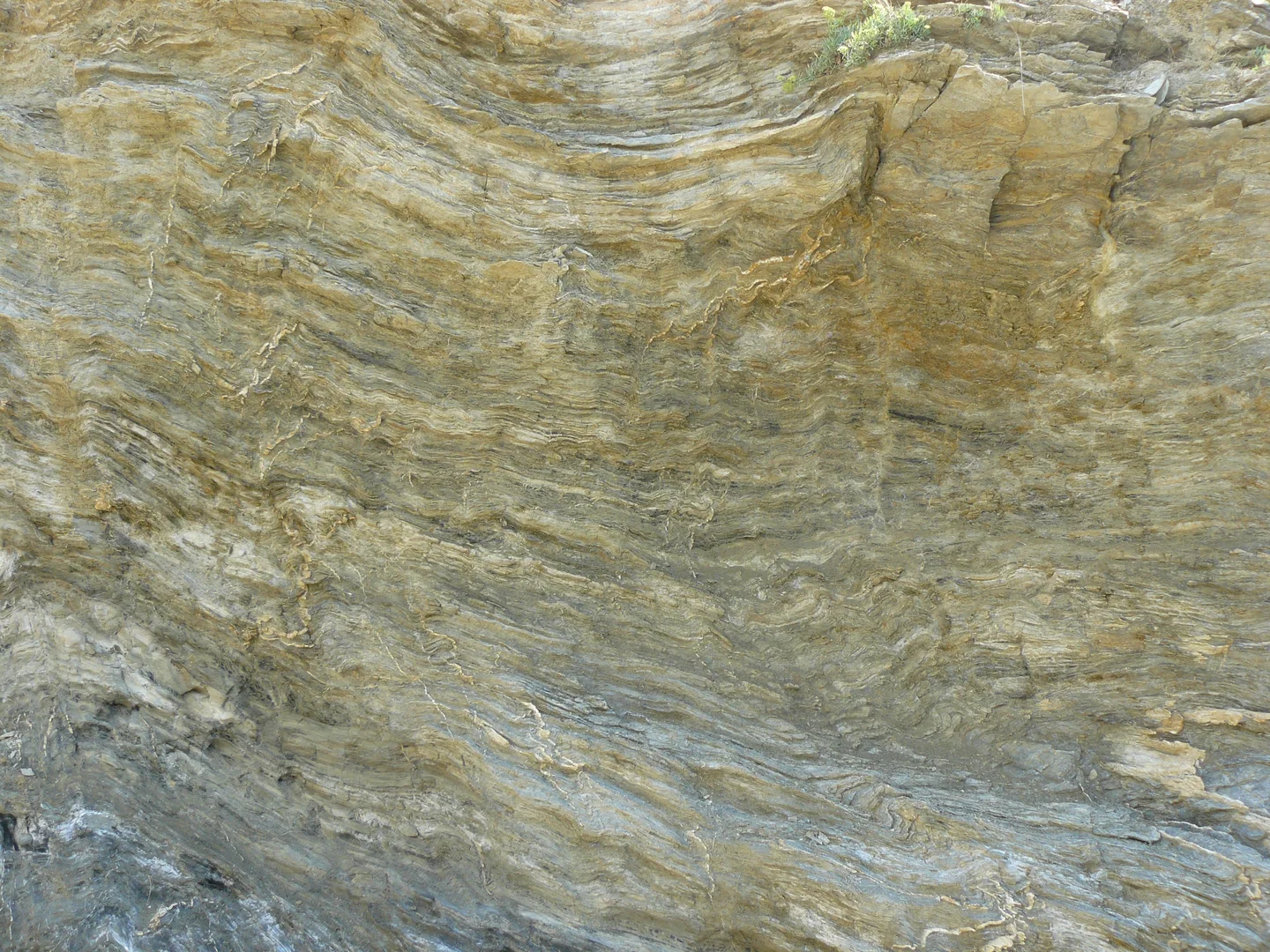 Rock with folds
