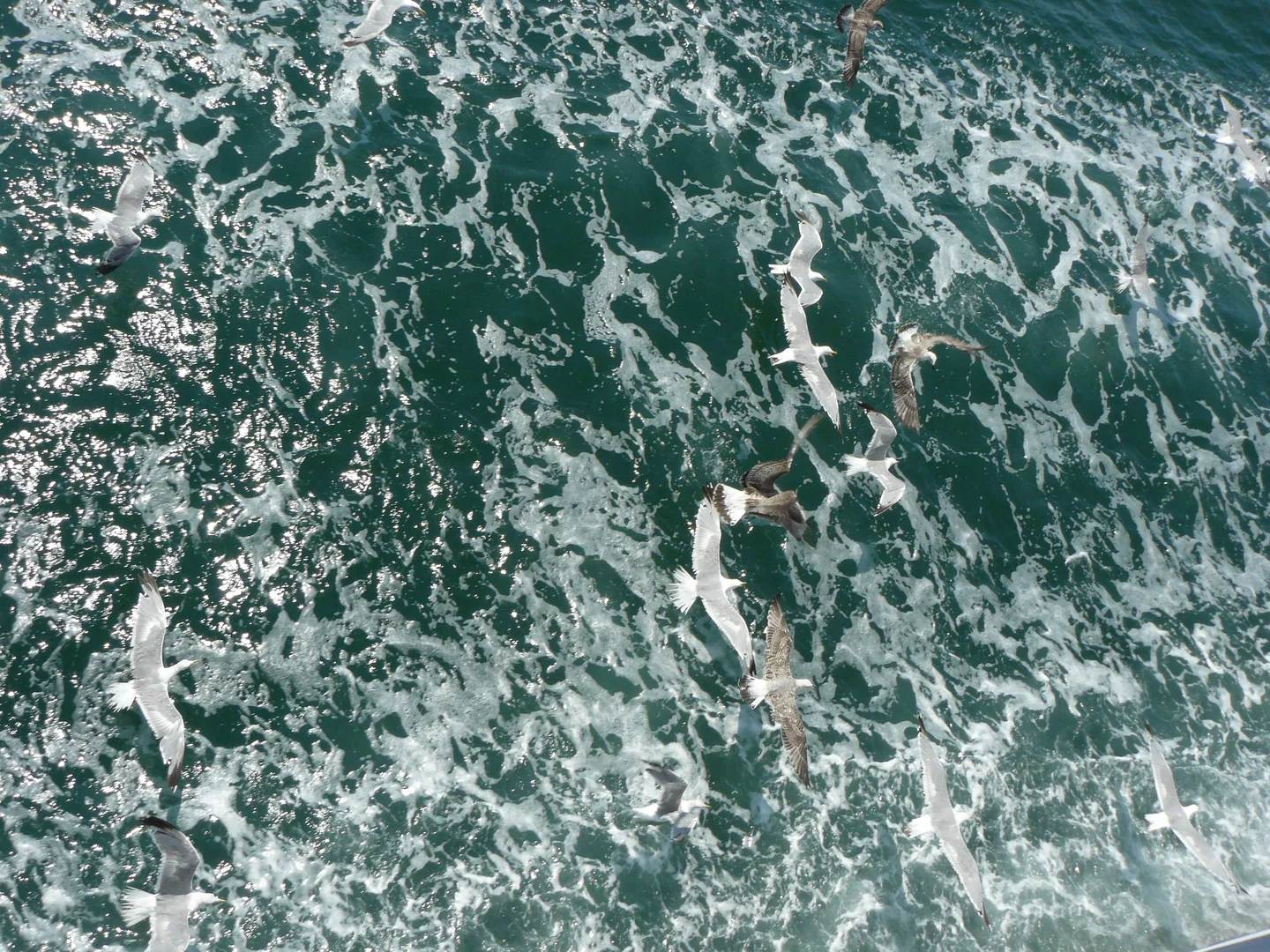 Ship wake