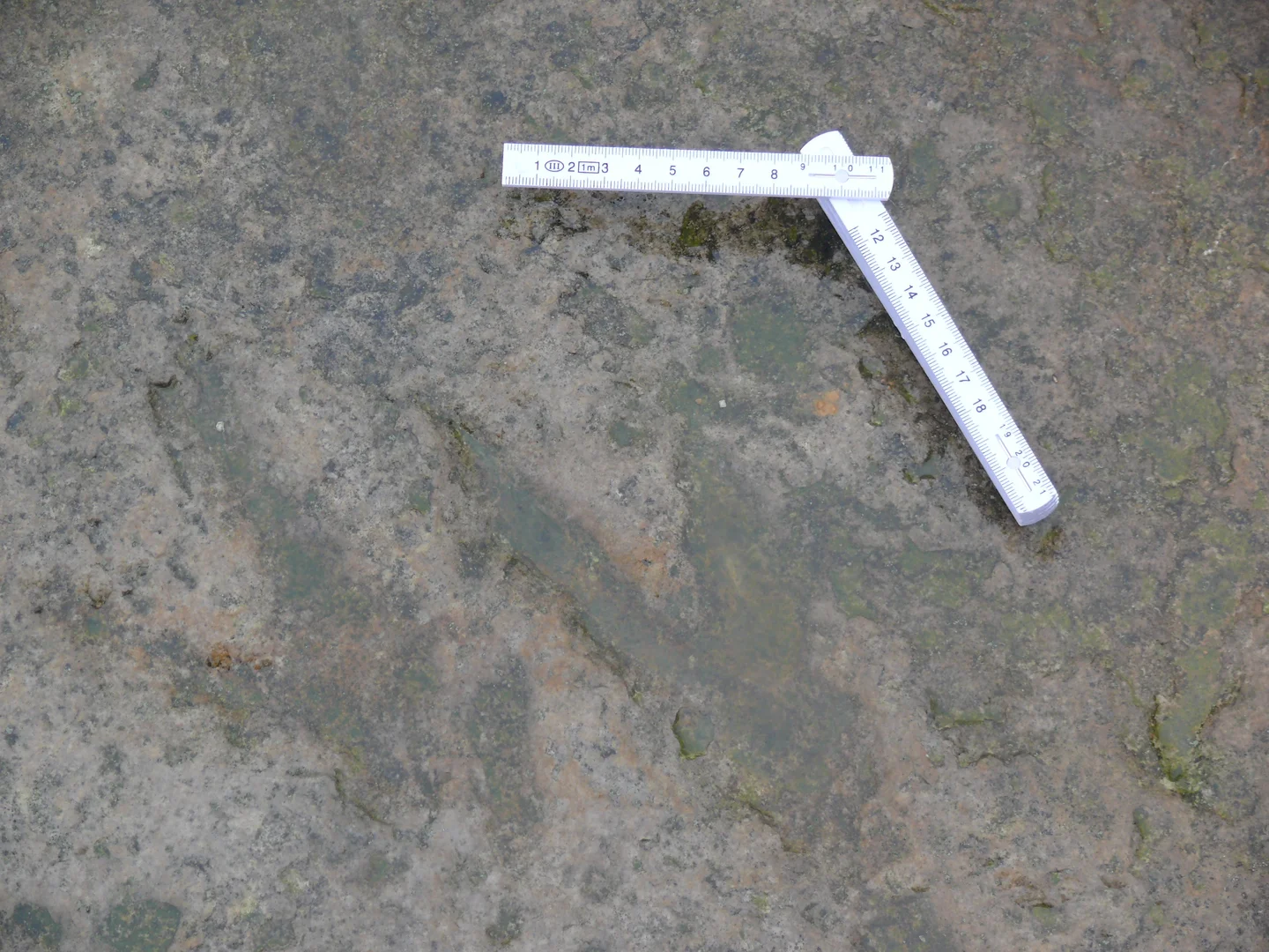 Dinosaur footprint
