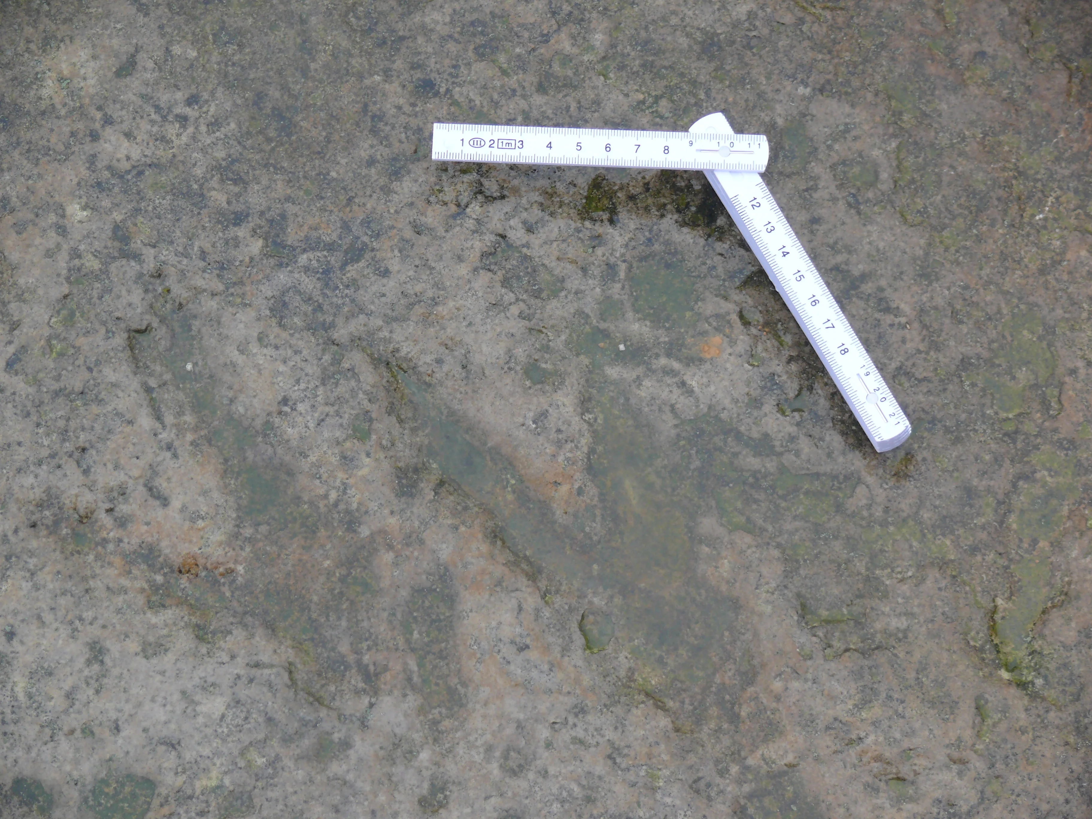 Dinosaur footprint