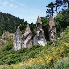 Sentinels of Kunashir Island