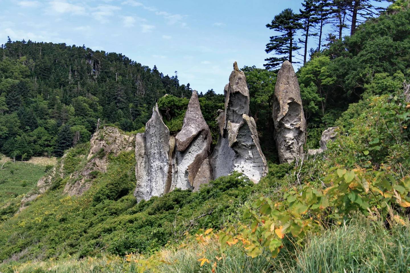 Sentinels of Kunashir Island