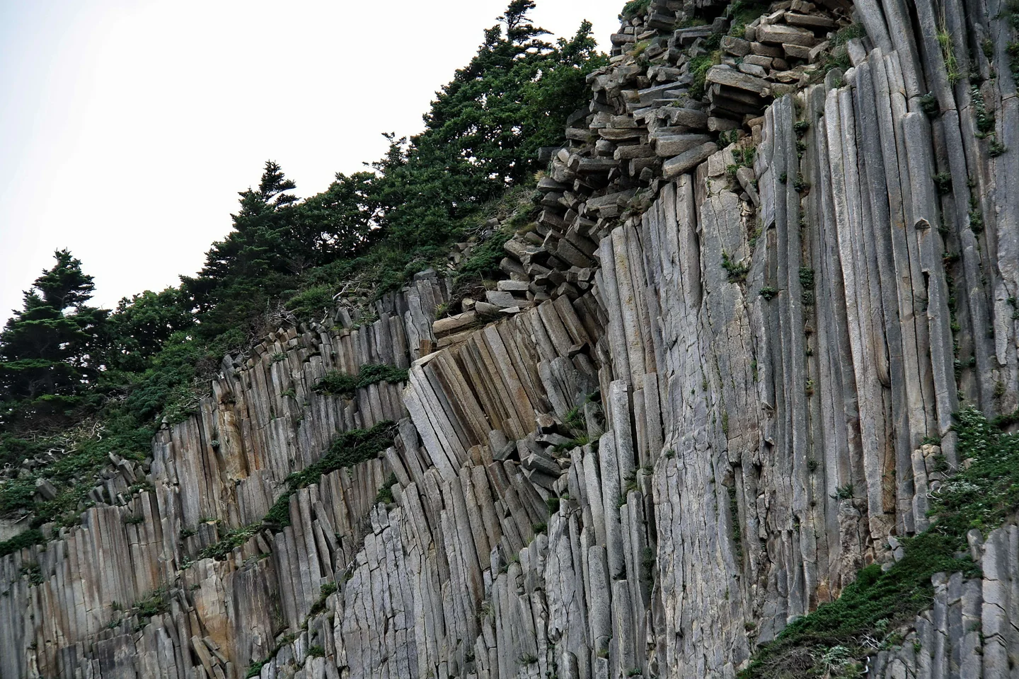 Stone logs