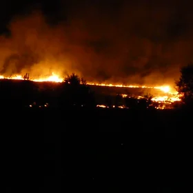 Wildfire