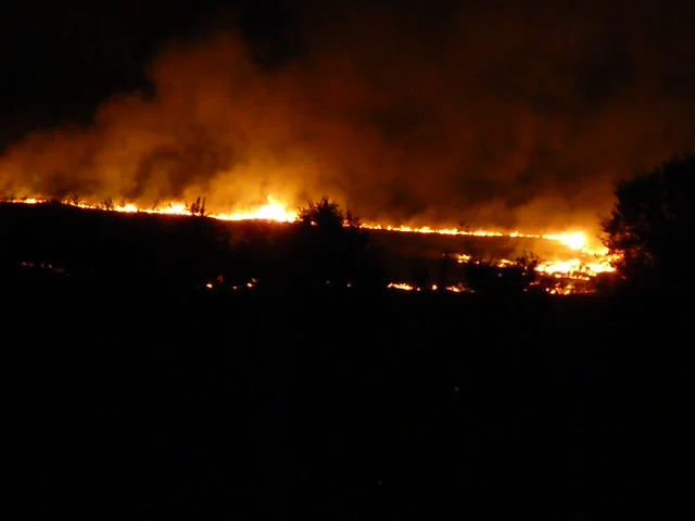 Wildfire