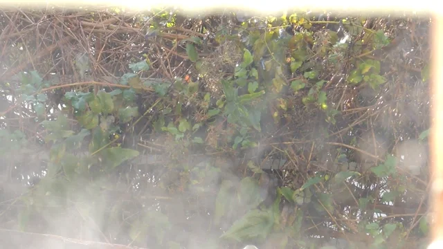 Evaporation