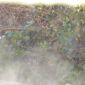 Evaporation