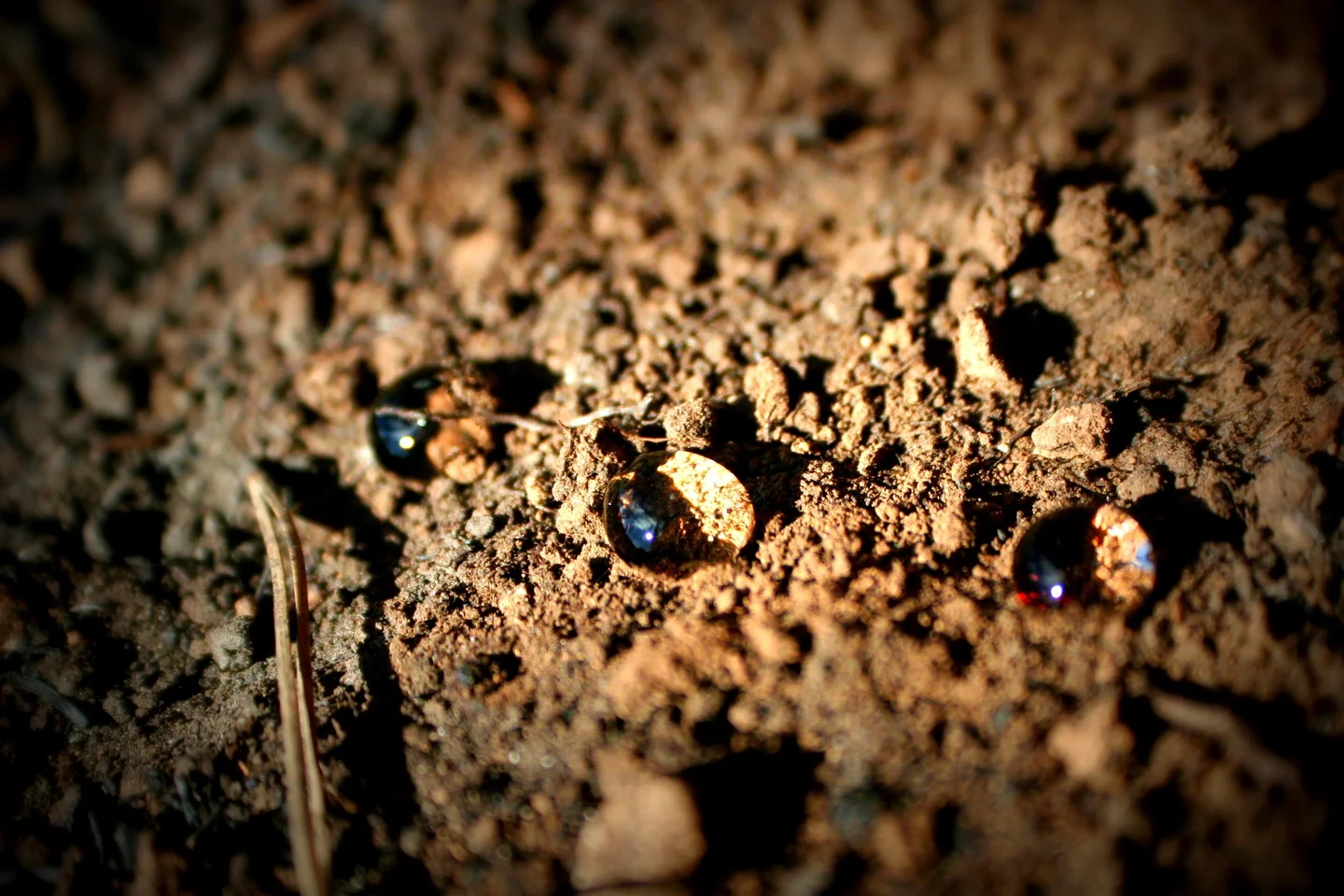Soil water repellency