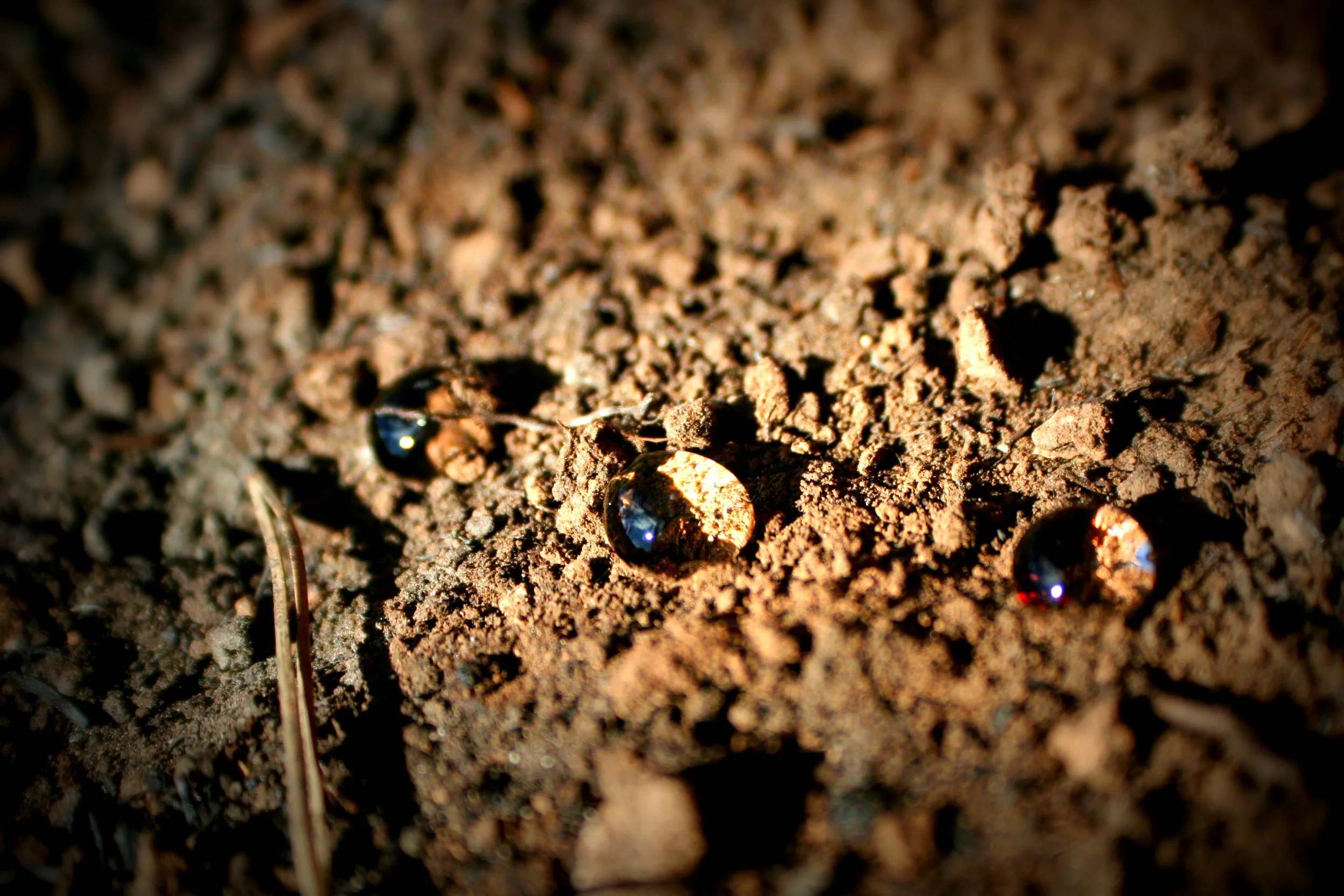 Soil water repellency