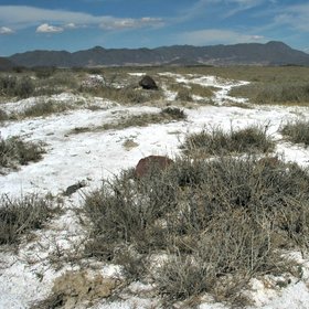 Saline soil in the watershed of Lake Cuitzeo (Mexico)