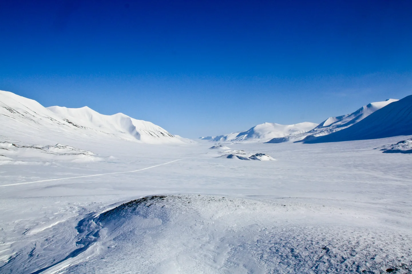 Open system pingos in Reindalen, Svalbard