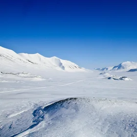 Open system pingos in Reindalen, Svalbard