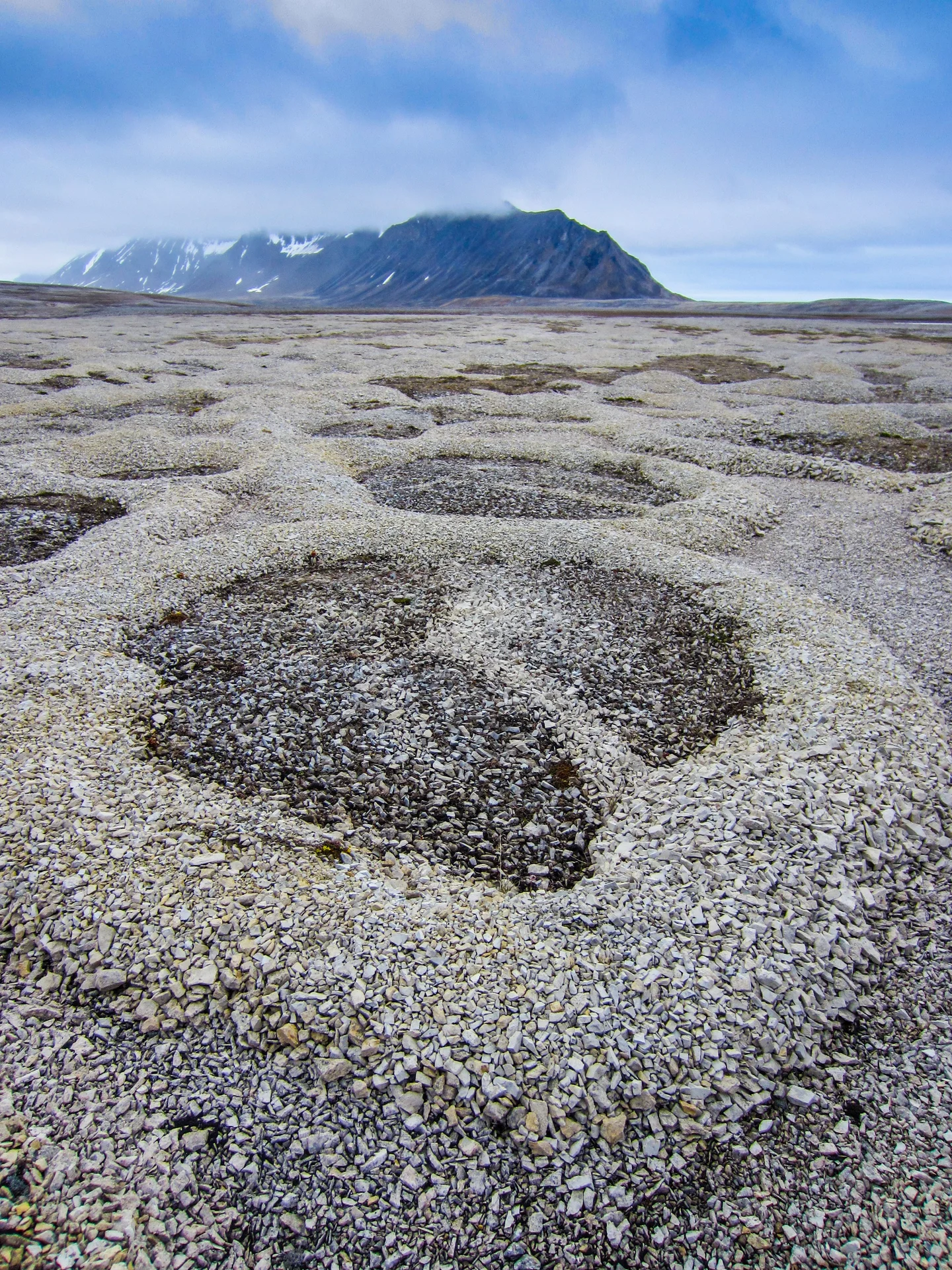 Patterned ground at Kapp Linne, Svalbard